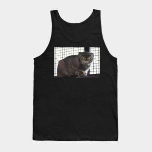 Angry Pallas Cat Tank Top